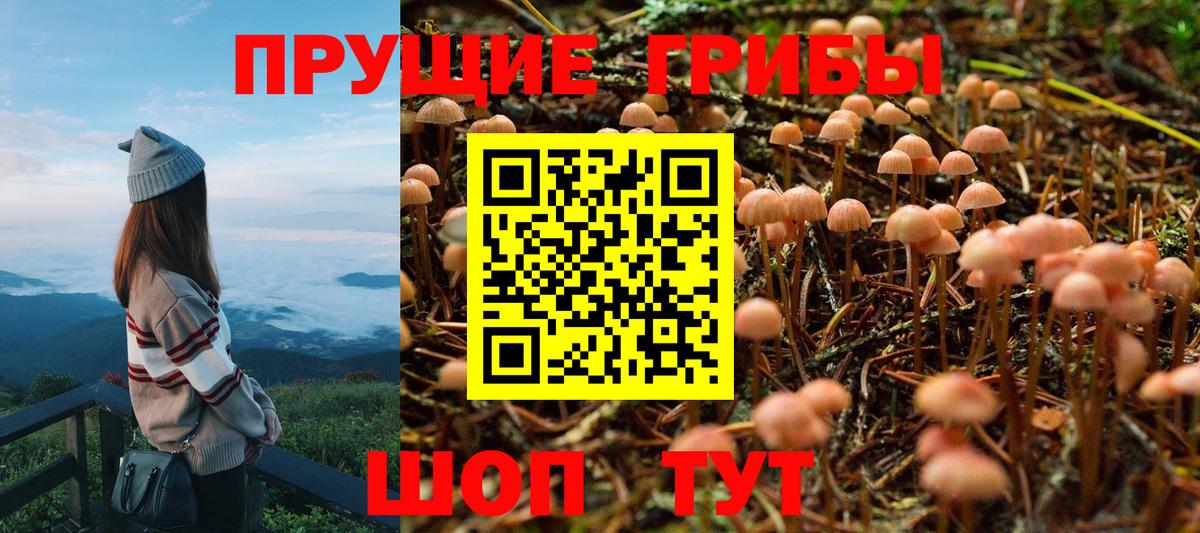 Кострома  Псилоцибиновые грибы мицелий  Вход с VPN 